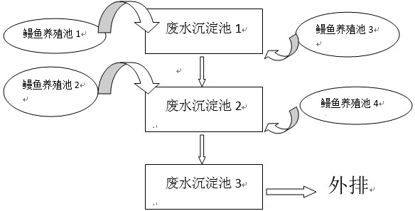 养鳗工艺